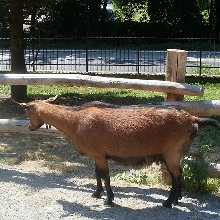 Valle Orco Frühstückspension