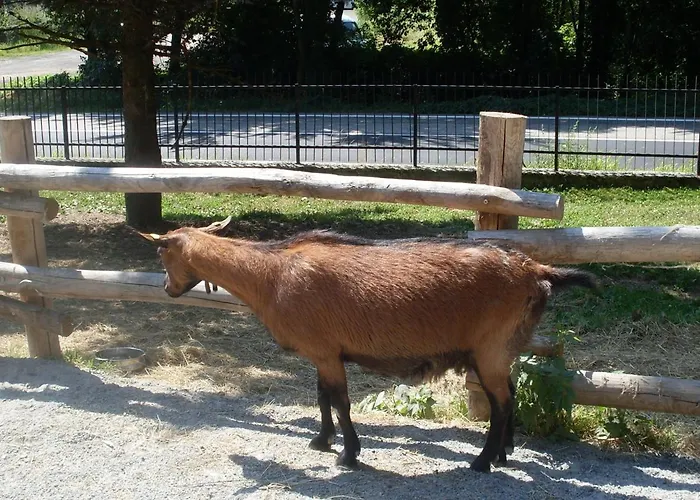 Valle Orco Panzió