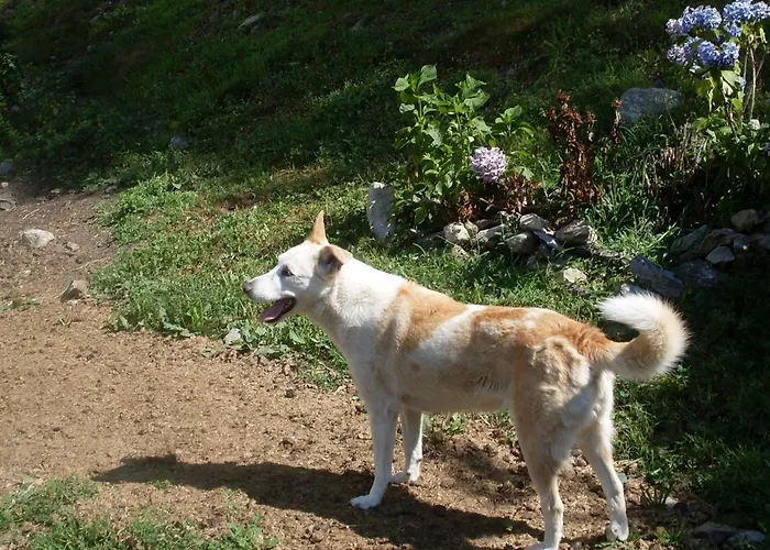 Valle Orco Panzió